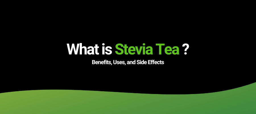 What Is Stevia Tea? Benefits, Uses, and Side Effects